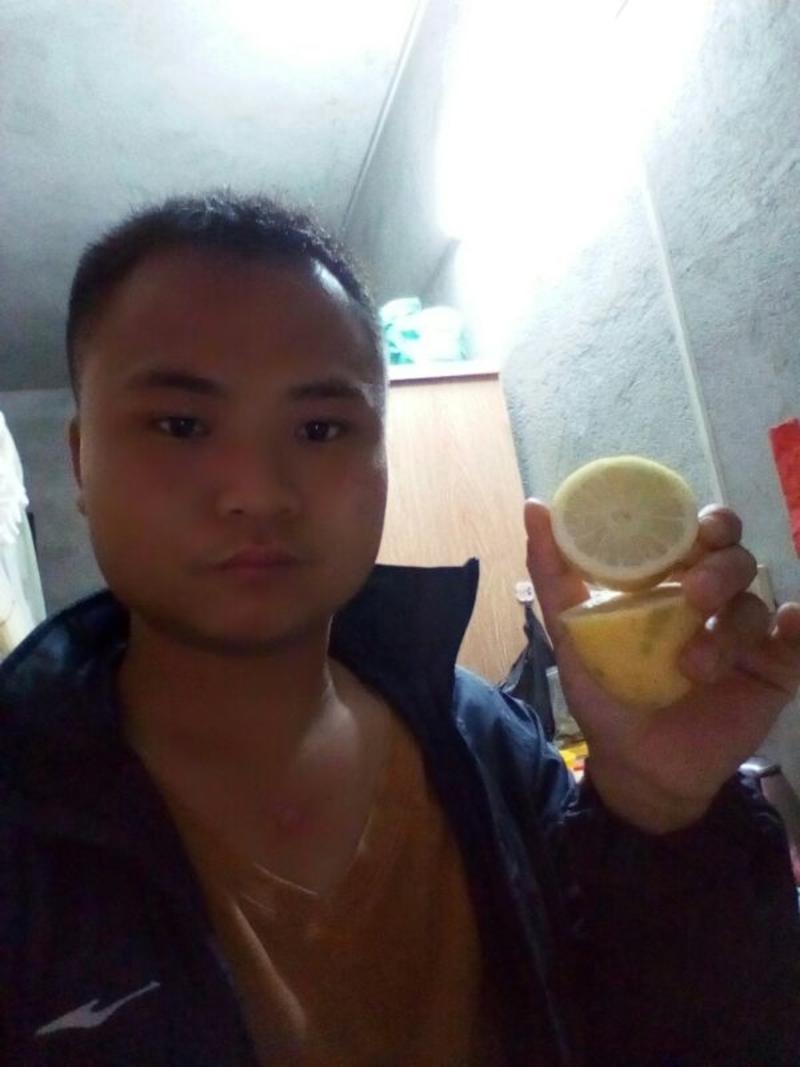 香水柠檬树苗50~80cm