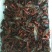 龙虾8~12只/kg