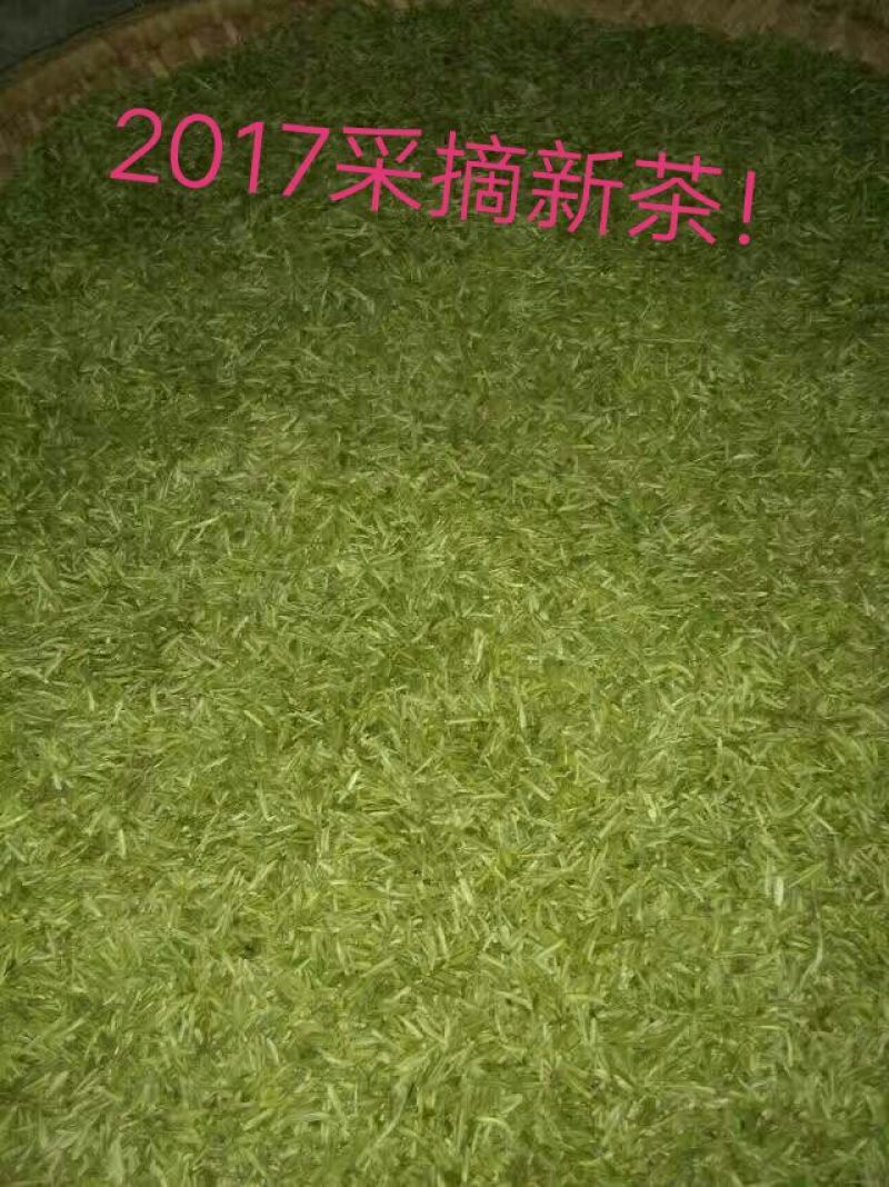 石阡苔茶特级