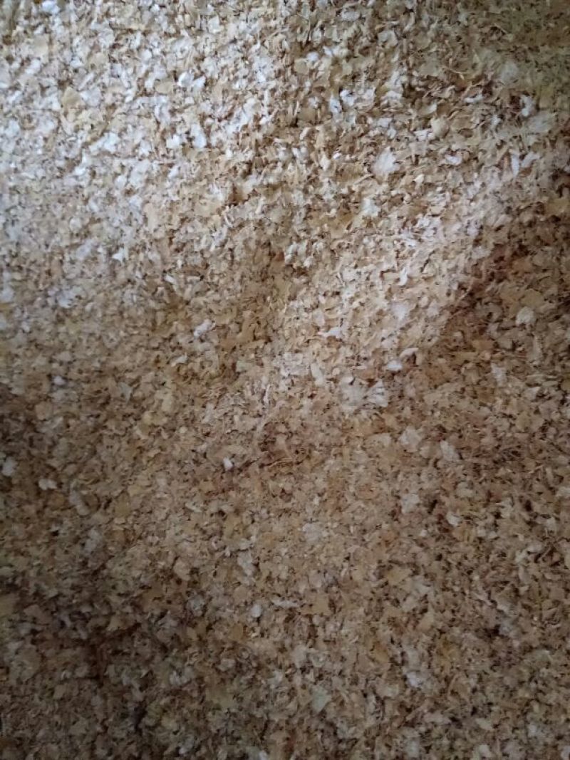 麸皮