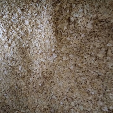 麸皮