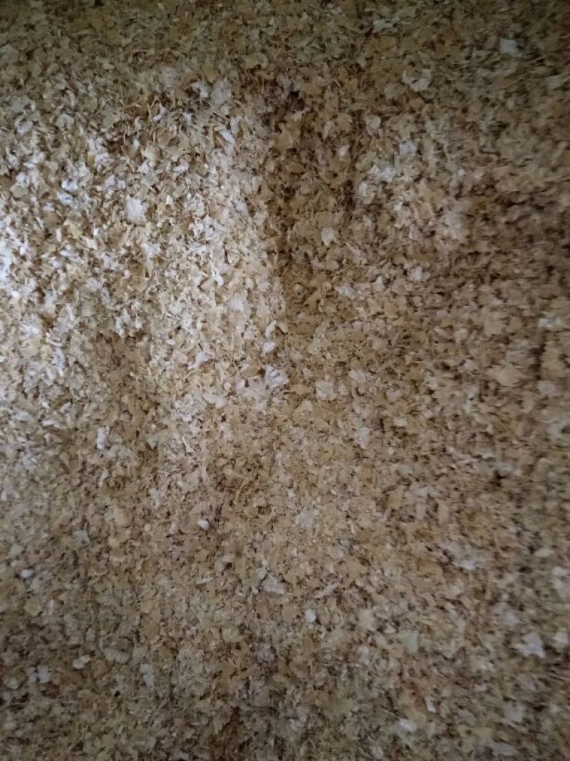 麸皮
