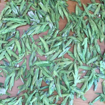 茶叶特级