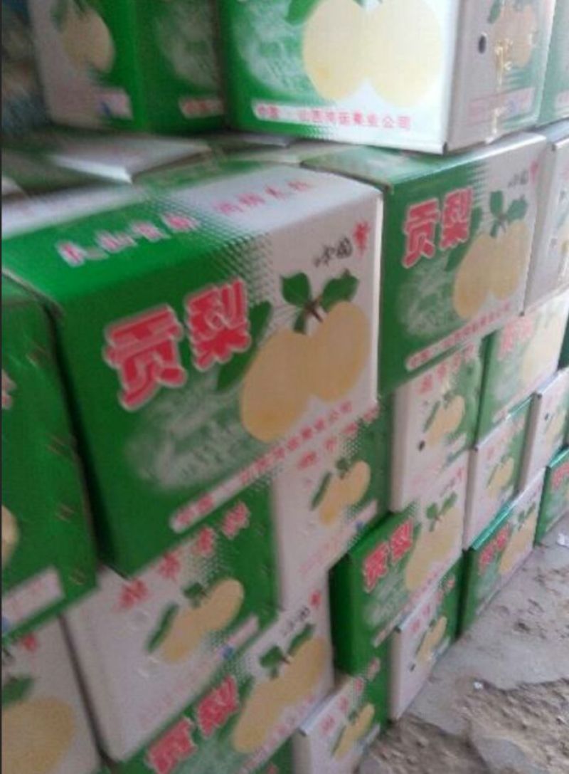 出售纸袋酥梨，果个250-500克。