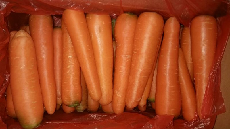 胡萝卜红3两以上10厘米以上水洗