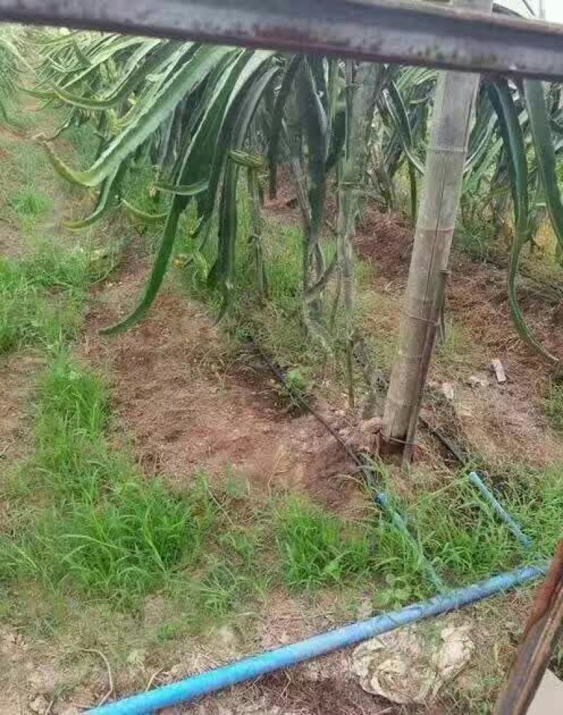 滴灌带LDPE