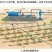 滴灌带LDPE