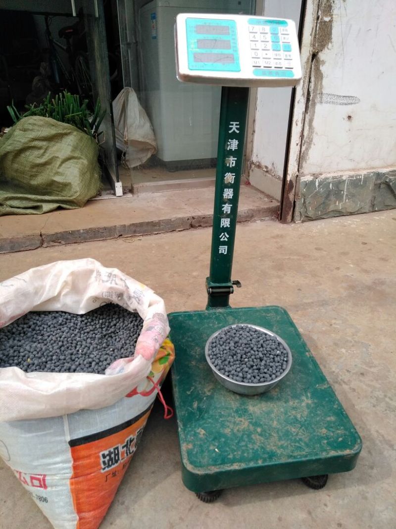乌皮黄仁豆散装