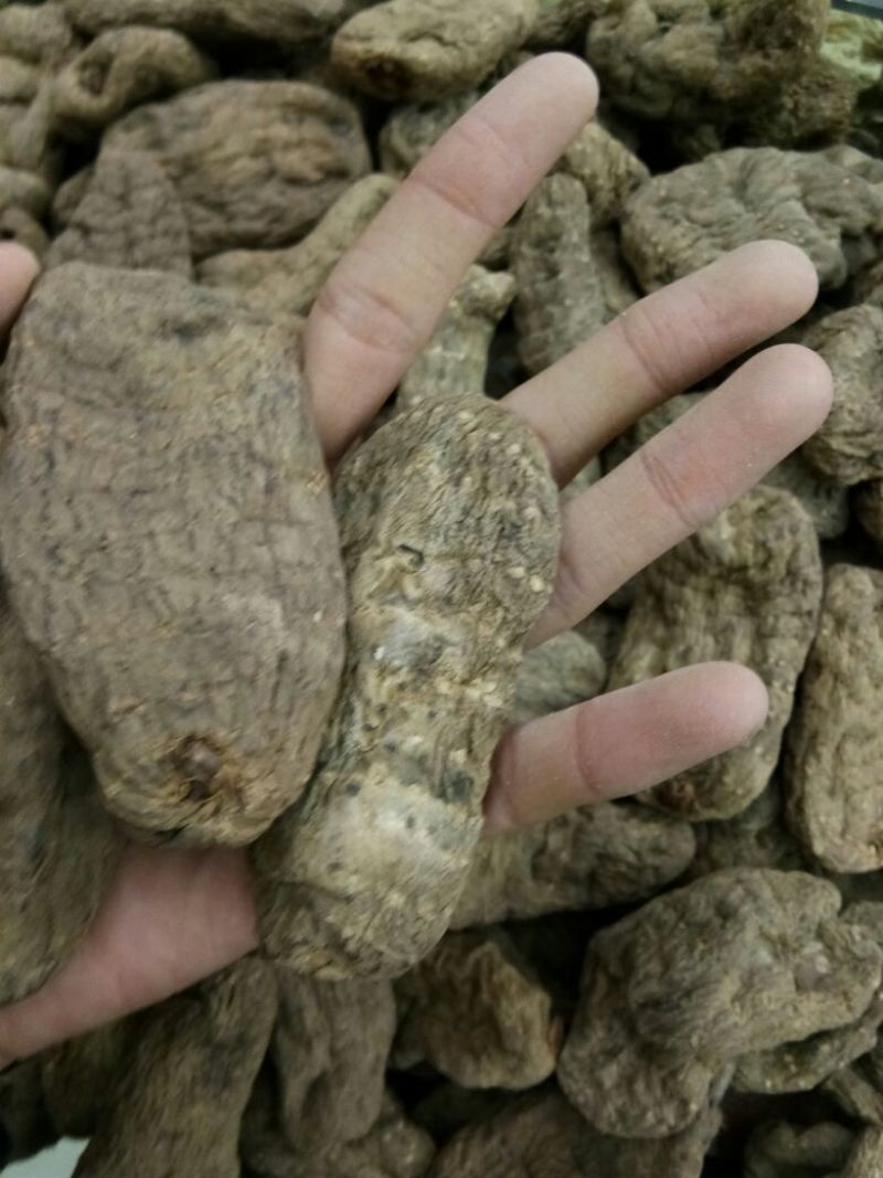 乌红天麻特级昭通小草坝无硫香甜糯