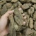 乌红天麻特级昭通小草坝无硫香甜糯