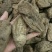 乌红天麻特级昭通小草坝无硫香甜糯