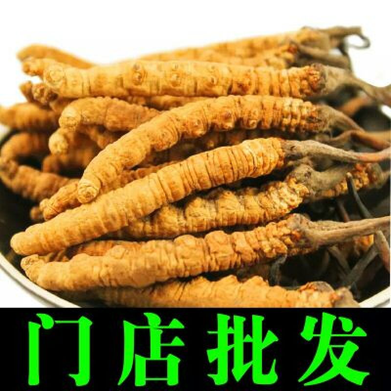 冬虫夏草盒装