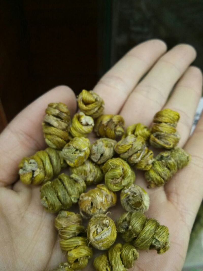 铁皮石斛枫斗全化渣铁皮枫斗中颗粒，现货一吨，