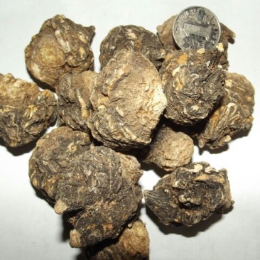 黑玛卡黑色