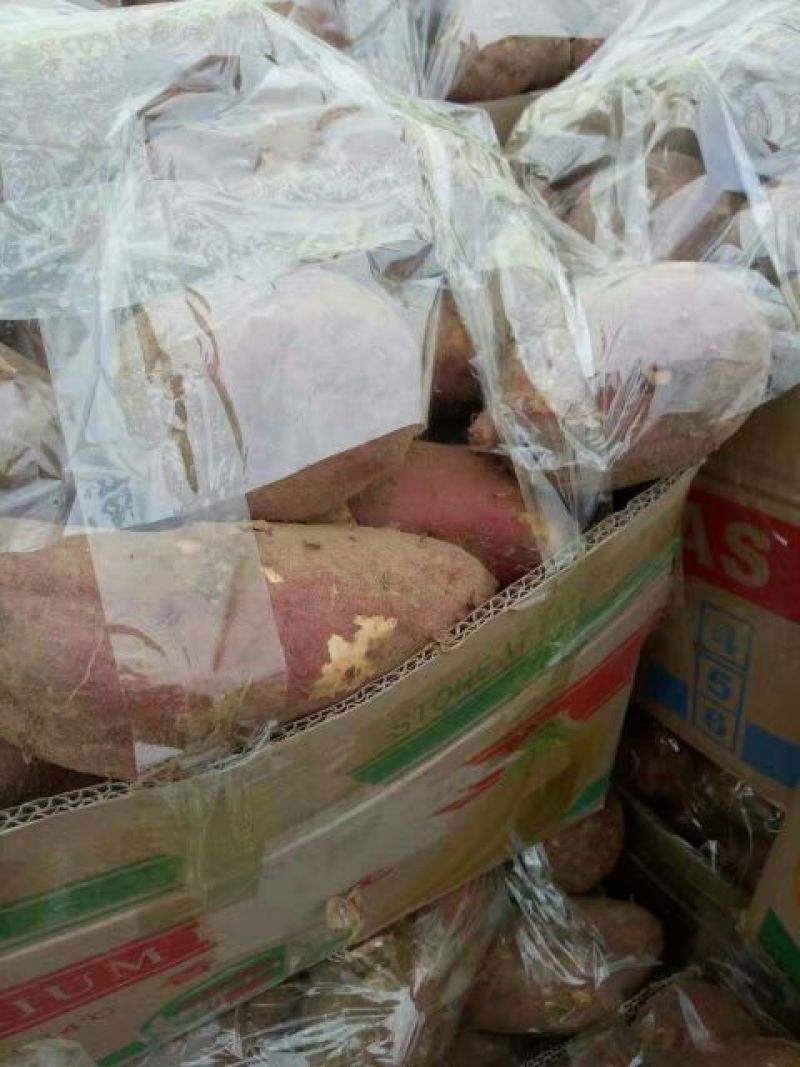 【有好货】山东莒南苏薯8号红薯3两以上红心支持线上交易
