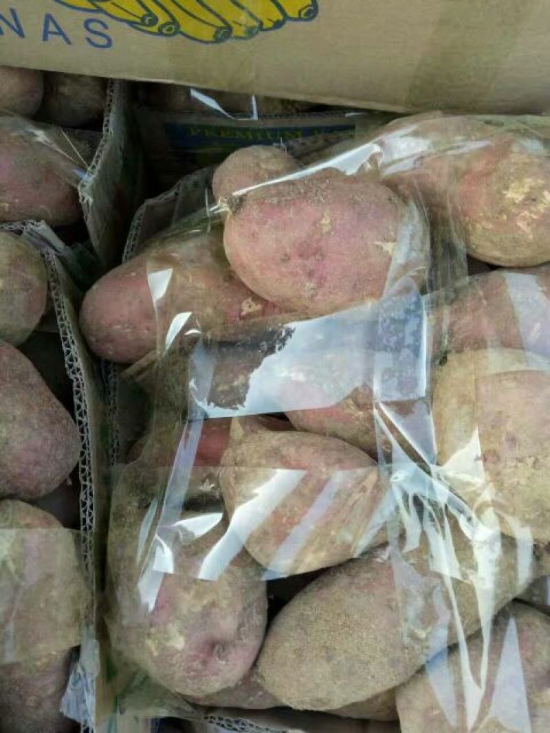 【有好货】山东莒南苏薯8号红薯3两以上红心支持线上交易