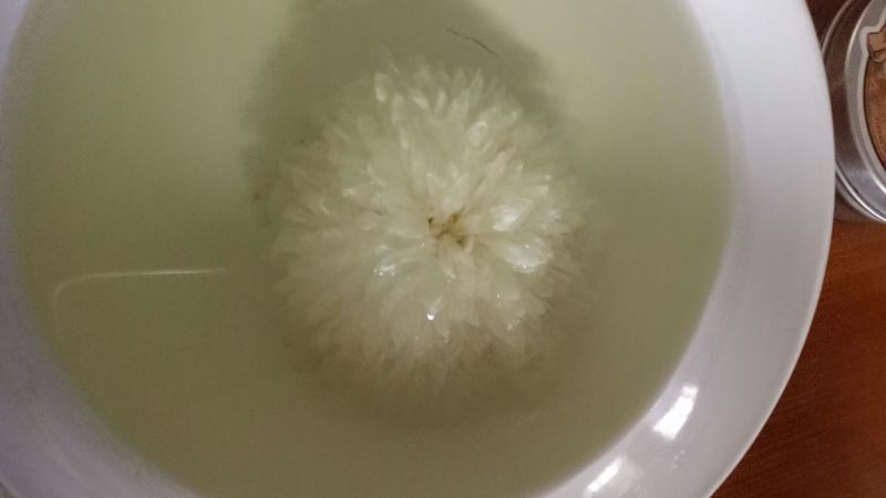 药用菊花袋装