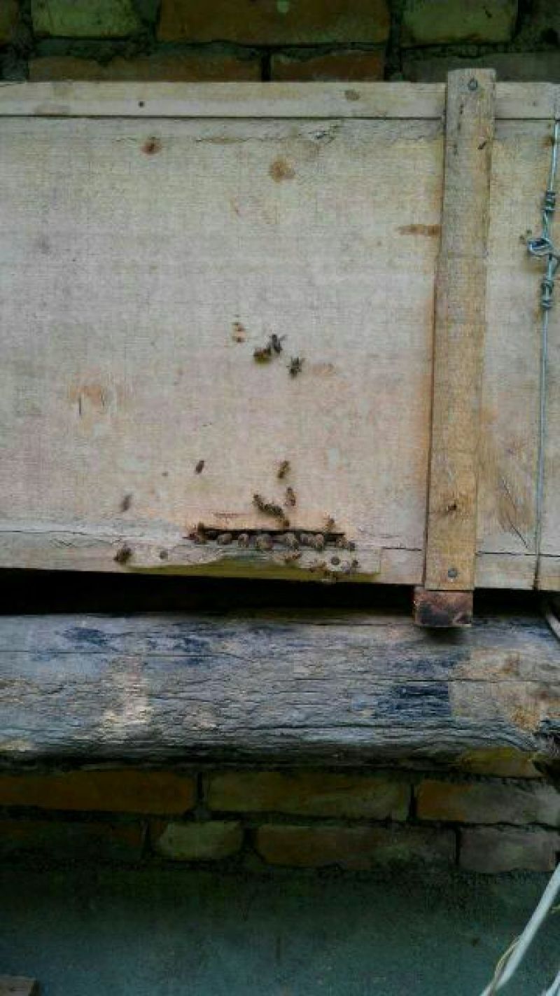 土蜂蜜960克
