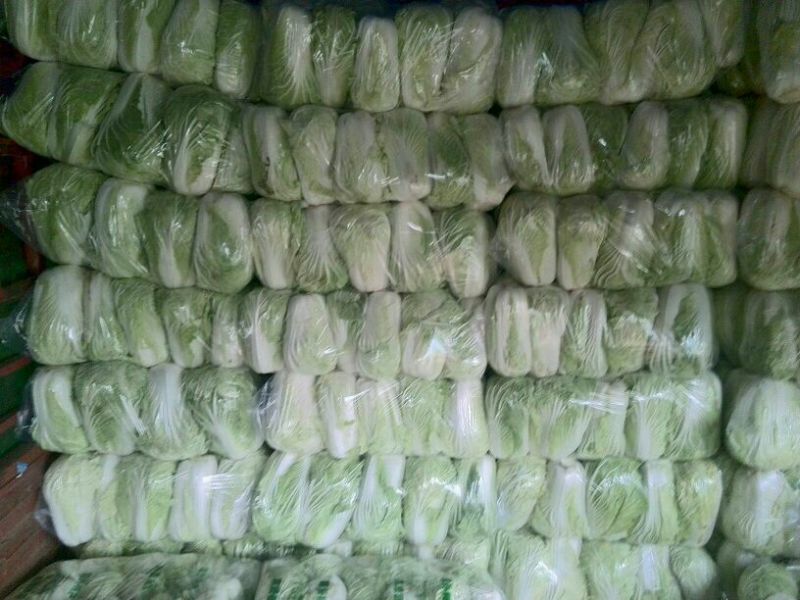 青杂三号白菜，发，新疆，广州，陕西，山西，河北，郑州，