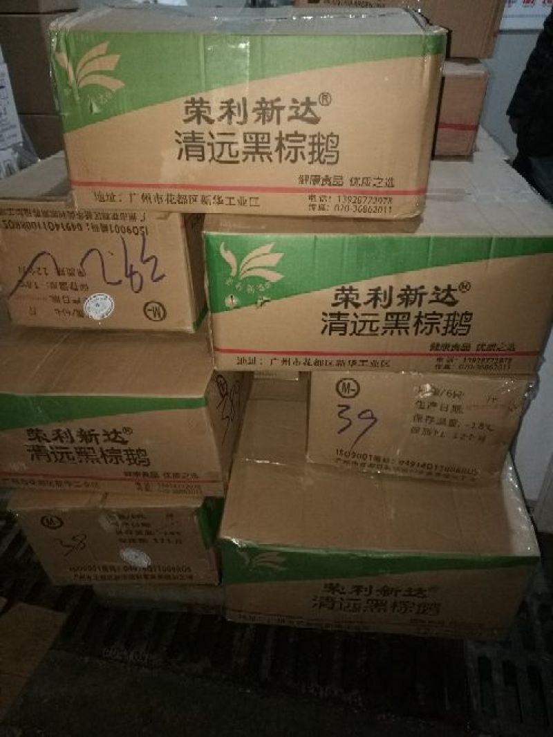 鸡散养土鸡3~4斤