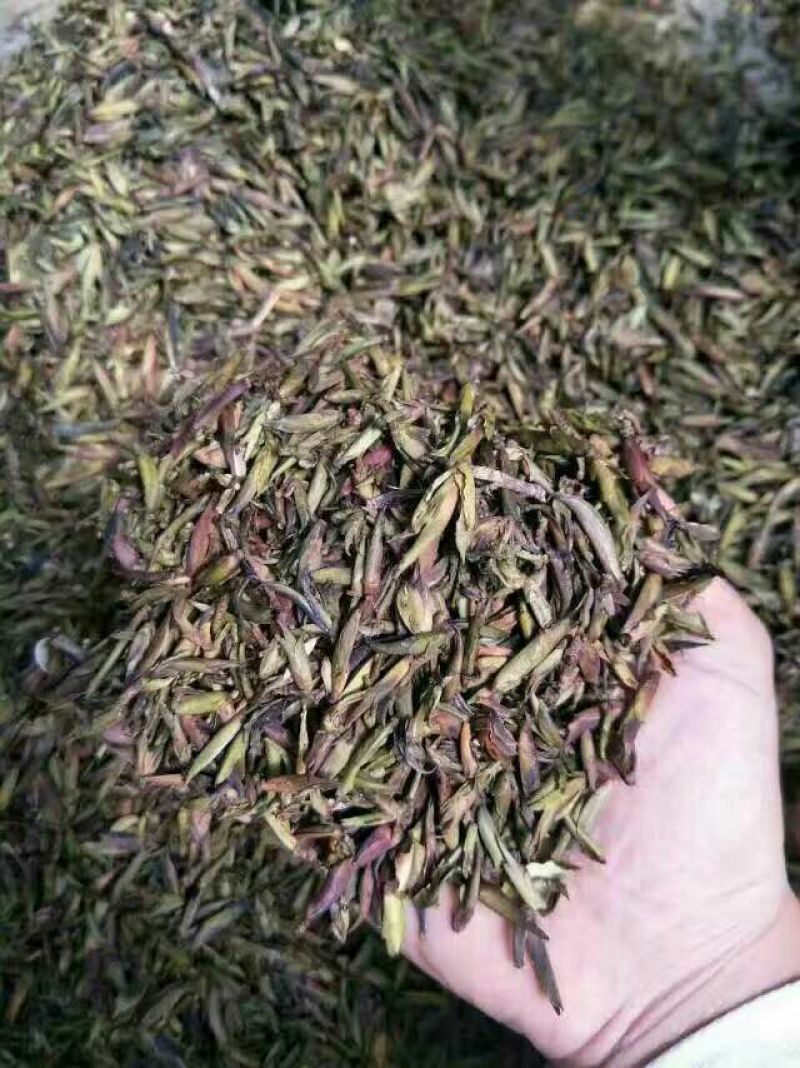 老树茶二级