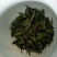老树茶二级