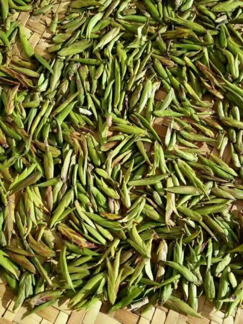 老树茶二级