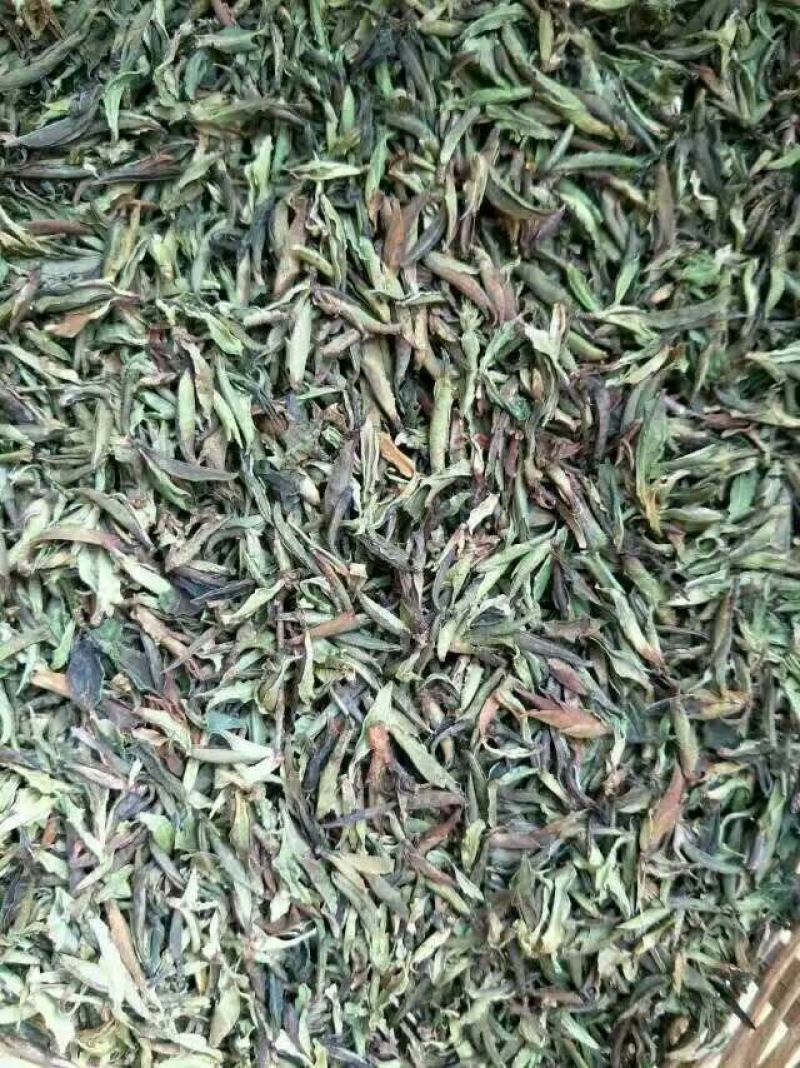 老树茶二级