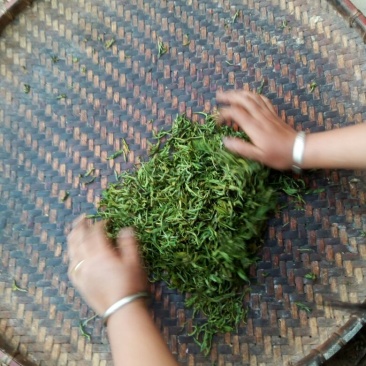 普洱茶