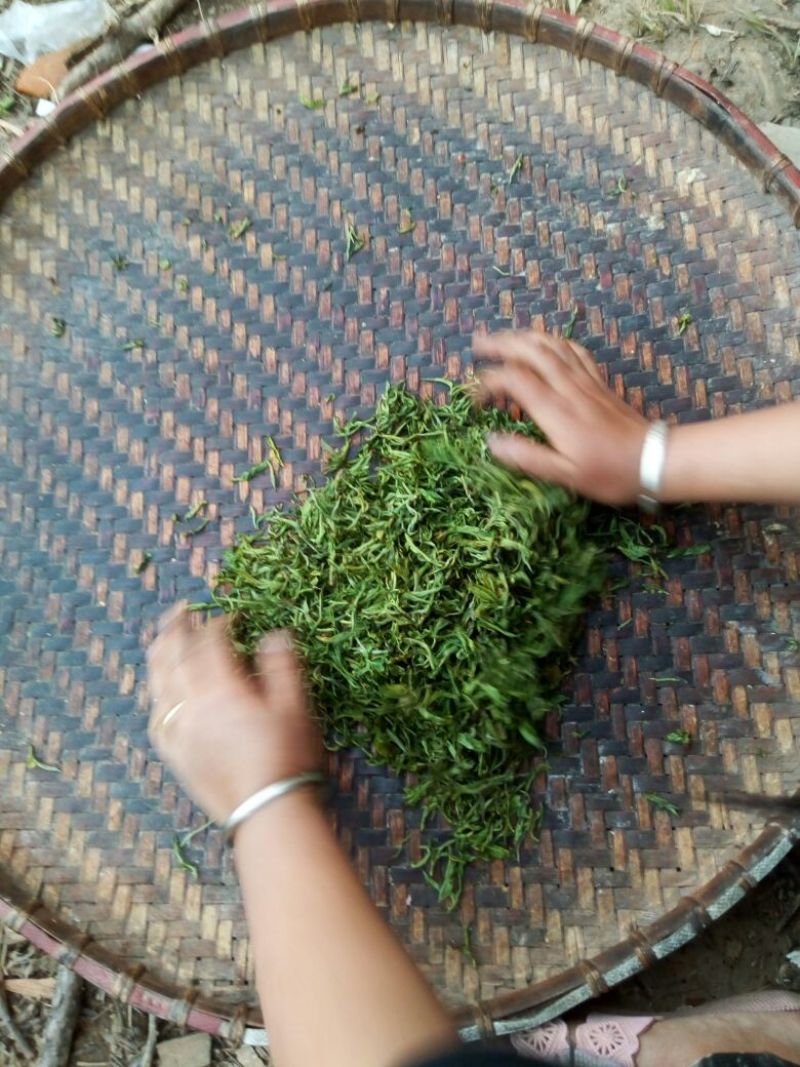 普洱茶