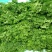 法香15~20厘米以上