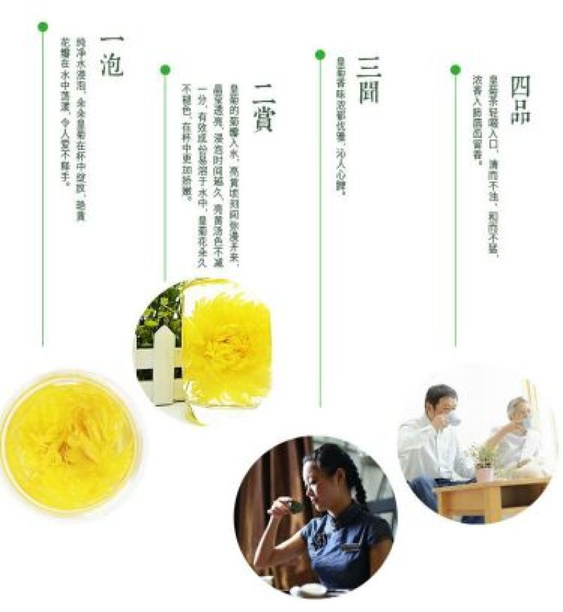 菊花茶