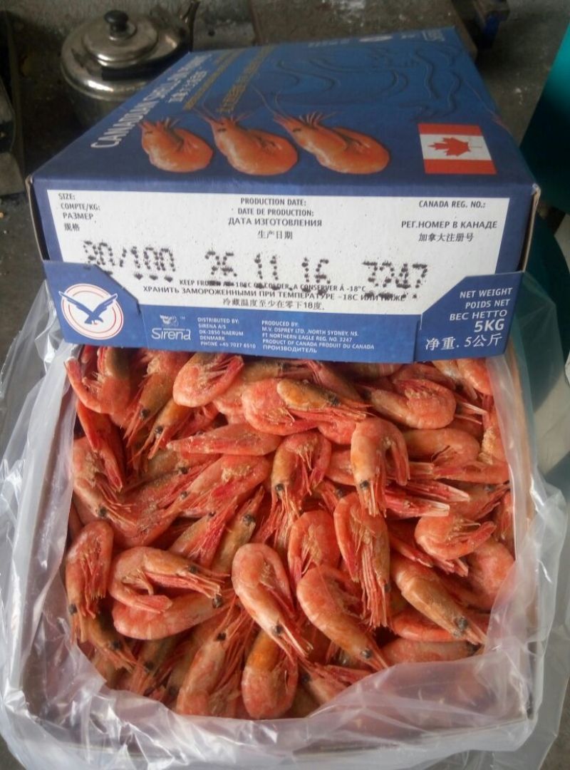北极虾