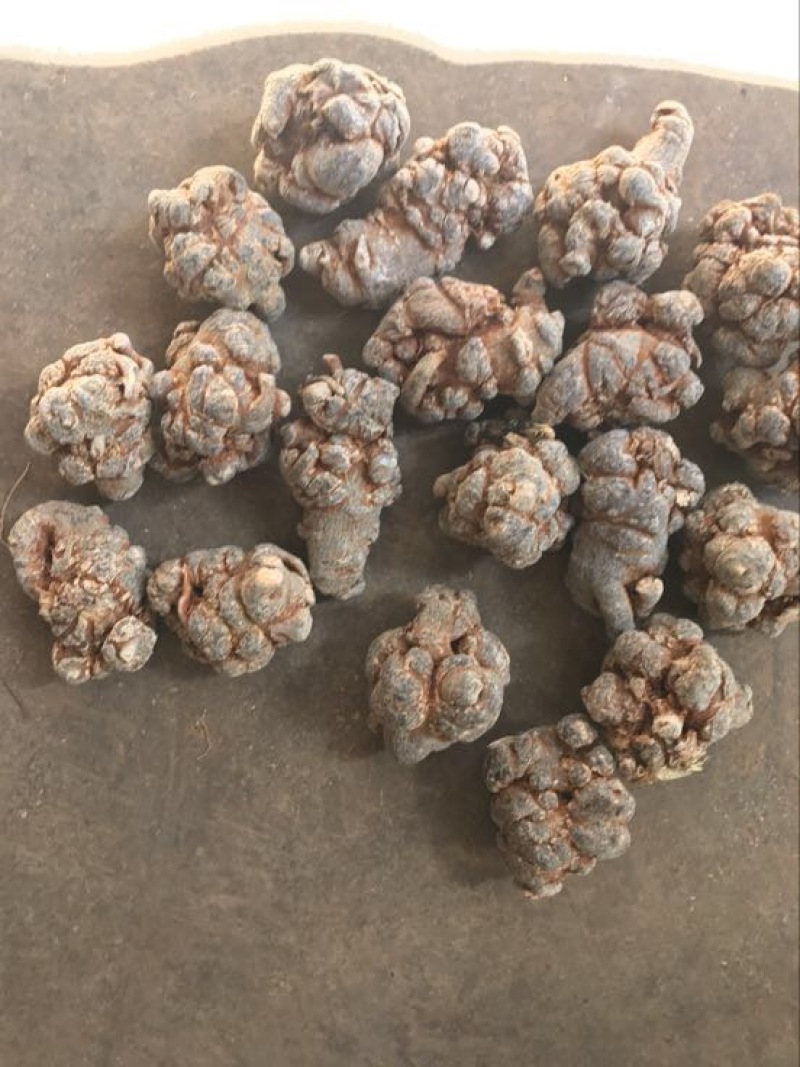 三七选货无数头