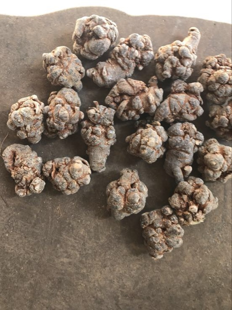 三七选货无数头