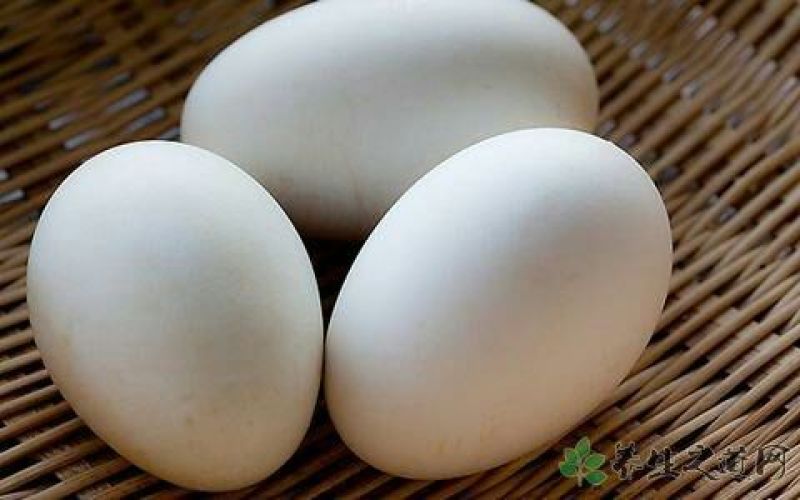 鹅苗250g以下