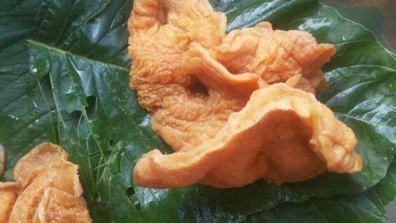 产地榆耳，酒店特色食材榆耳菌榆耳菇好榆耳优质榆耳自产自销