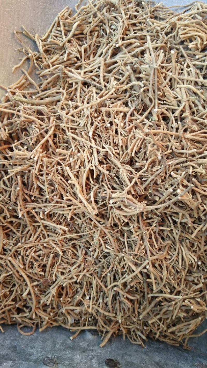 徐长卿各种中药材批发质量保证产地直销