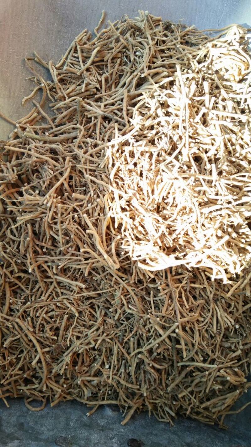 徐长卿各种中药材批发质量保证产地直销