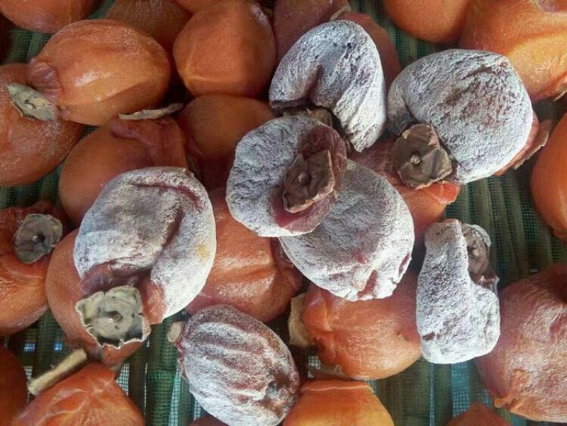 柿饼1两以下