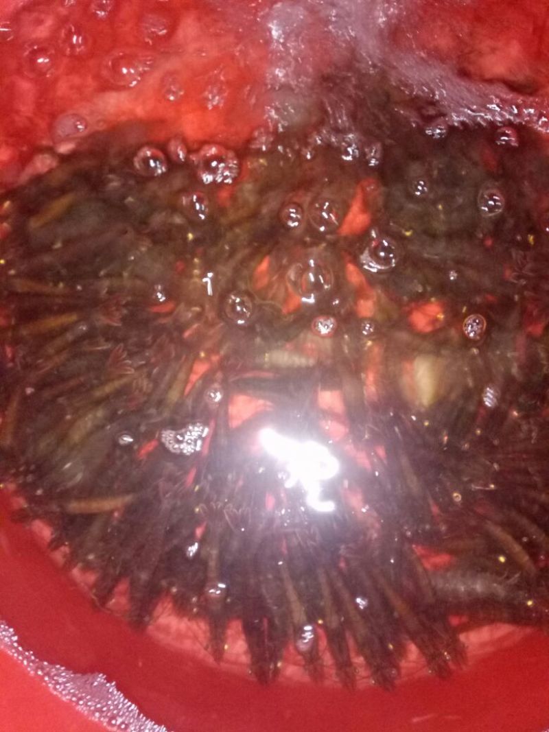 南美白对虾食用活虾