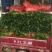 大叶菠菜25~30厘米，产地直供，大朋无公害绿色食品
