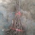 红油香椿树30~50cm