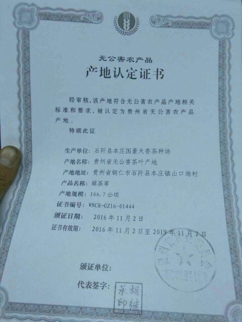 石阡苔茶特级