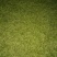 石阡苔茶特级