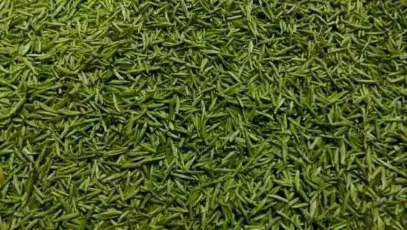 石阡苔茶特级