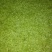 石阡苔茶特级