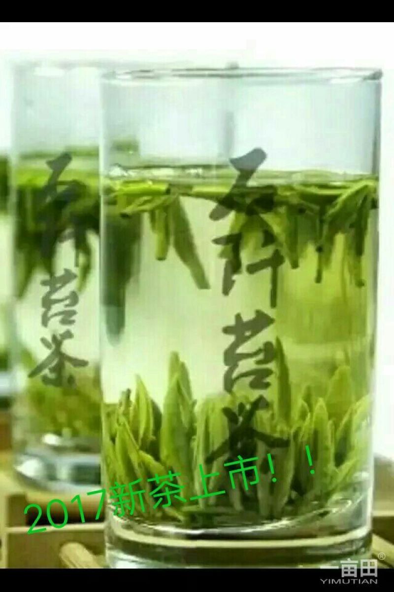 石阡苔茶特级