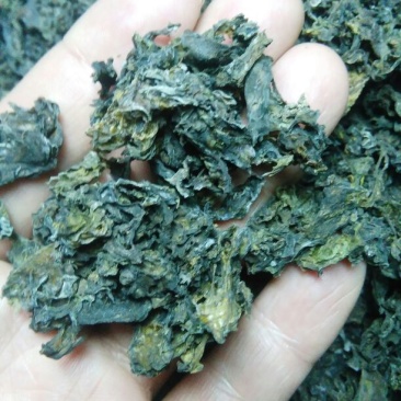 野生地耳(地皮菜)，过筛干货，50斤包邮