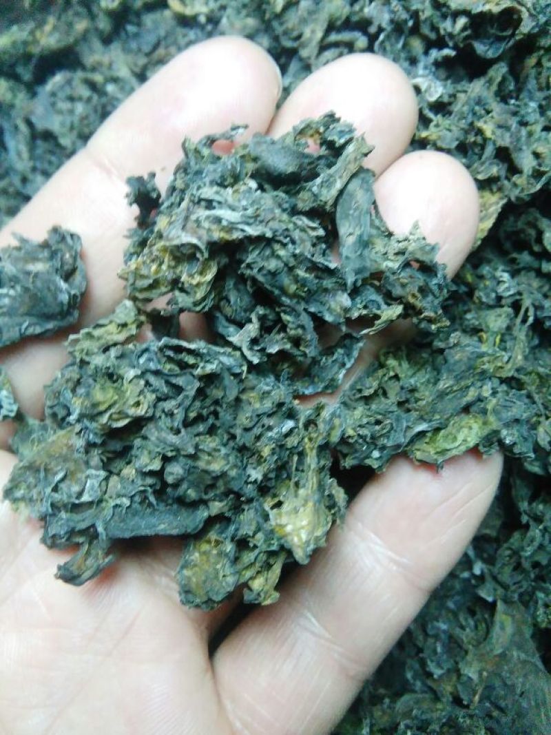 野生地耳(地皮菜)，过筛干货，50斤包邮